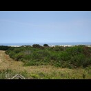 Nur von diesem Lookout und in Nelson sahe wir das Meer